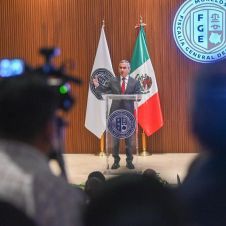 Fiscal Fernando Blumenkron