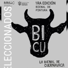 bicu