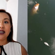 Piden castigo ejemplar por muerte de peces en Cuernavaca Piden castigo ejemplar por muerte de peces en Cuernavaca