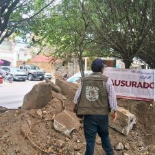 Clausuran obra que destruía árboles en avenida Teopanzolco Clausuran obra que destruía árboles en avenida Teopanzolco