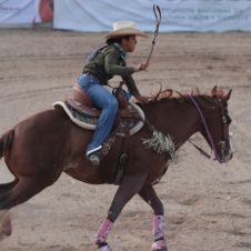 RODEOS