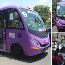 Así son los nuevos vehículos de gas que circularán en Morelos