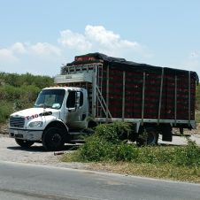 Camión incendiado en Jojutla