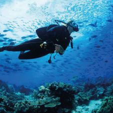 Buceo 