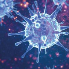 Virus