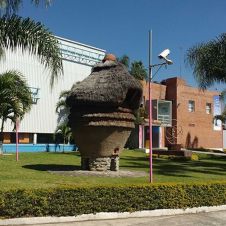 Colectivos piden rescatar áreas verdes 
