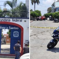 Un enjambre de abejas se alborotó en un árbol dentro de la telesecundaria Álvaro Gálvez y Fuentes
