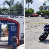 Un enjambre de abejas se alborotó en un árbol dentro de la telesecundaria Álvaro Gálvez y Fuentes