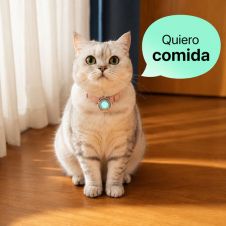 gati web