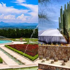 Jardínes de méxico