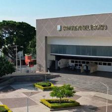 Ambientalistas, académicos, ciudadanos y legisladores realizarán el próximo dos de junio una mesa técnica para analizar la Ley de Desarrollo Forestal del Estado de Morelos