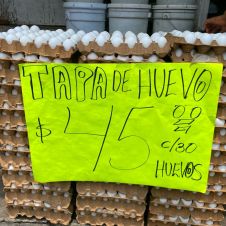 Baja precio del huevo en Morelos