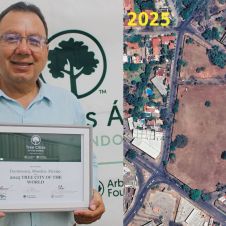 Irónico premio ambiental a Cuernavaca