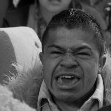 Licenciado Cortillo de La Familia P. Luche