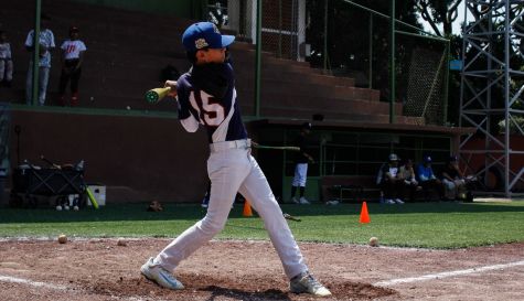 béisbol en la entidad