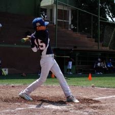 béisbol en la entidad