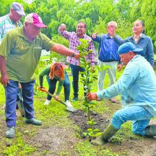 Yautepec inicia campaña de reforestación con árboles frutales en escuelas