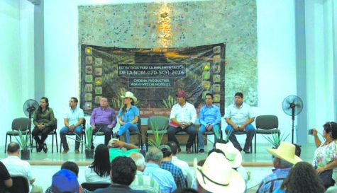 certificación del mezcal