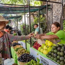Mercado Verde cumple 13 años en Morelos