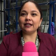 Cursos y talleres en los Centros de Seguridad Social del IMSS Morelos Cursos y talleres en los Centros de Seguridad Social del IMSS Morelos