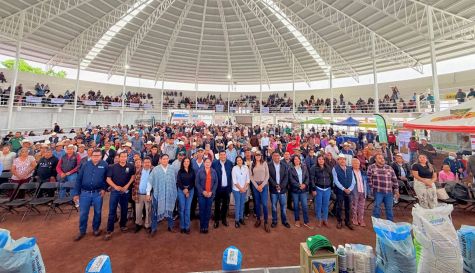 YECA CAMPO