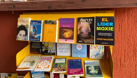 La Biblioteca 17 de Abril, está situada al interior del Parque Alameda Solidaridad