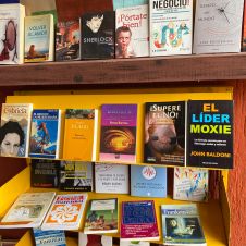 La Biblioteca 17 de Abril, está situada al interior del Parque Alameda Solidaridad