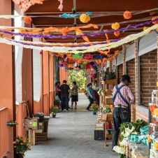 Listos los locales del mercado de Tepoztlán