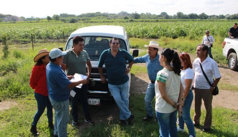 Yautepec rehabilita caminos rurales para el traslado de cosechas