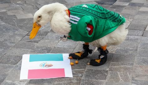 Pato Merlín es el nuevo embajador de México en el Mundial 2026