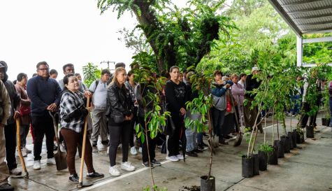 Consulta pública obligatoria para leyes ambientales en Morelos 