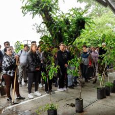 Consulta pública obligatoria para leyes ambientales en Morelos Consulta pública obligatoria para leyes ambientales en Morelos