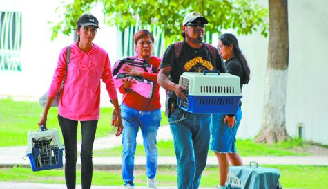 Yautepec alcanza cifra récord en jornada masiva de esterilización canina y felina