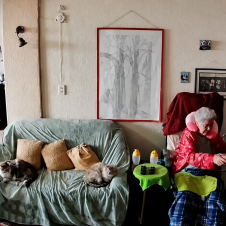 Pareja de la tercera edad se vuelve viral por su conmovedora reacción en el terremoto Pareja de la tercera edad se vuelve viral por su conmovedora reacción en el terremoto