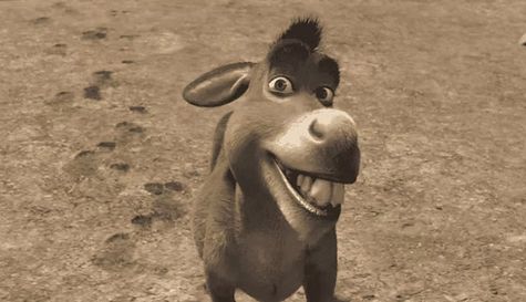 Película de Burro: Fecha de estreno y detalles del spin-off de Shrek