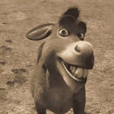 Película de Burro: Fecha de estreno y detalles del spin-off de Shrek