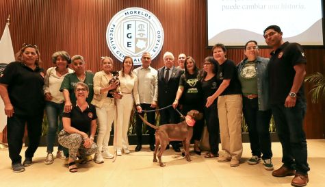 Lanzan app para prevenir maltrato animal en Morelos