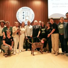 Lanzan app para prevenir maltrato animal en Morelos