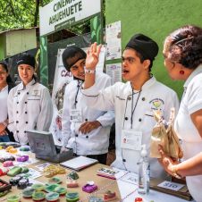 PARQUE CHAPULTEPEC