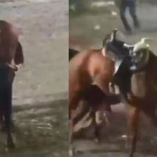 Jaripeo en Panchimalco