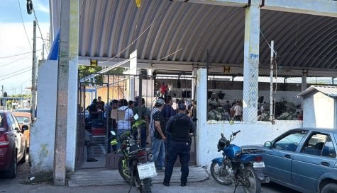 Un sorpresivo operativologró la suspensión de una pelea de gallos en Tlatlenchi