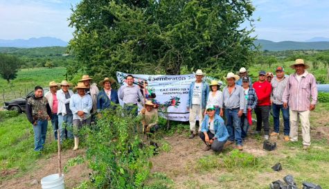 Mazatepec inicia plan de reforestación para mitigación del cambio climático