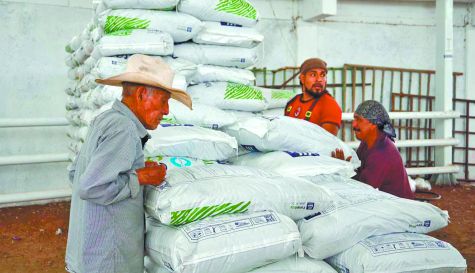 Yecapixtla rescata la economía de las familias campesinas con fertilizante