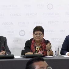Ernestina Godoy, titular de la FGR México