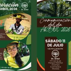 El programa educativo arrancará formalmente con la participación de especialistas de alto nivel