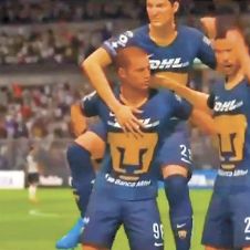 pumas.jpg