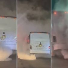 Verificación vehicular obligatoria para rutas y taxis