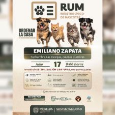 RUM