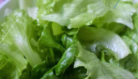 Lechuga mexicana