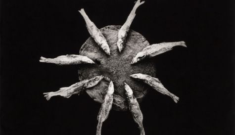 Fotografía de Juan Coronel Rivera